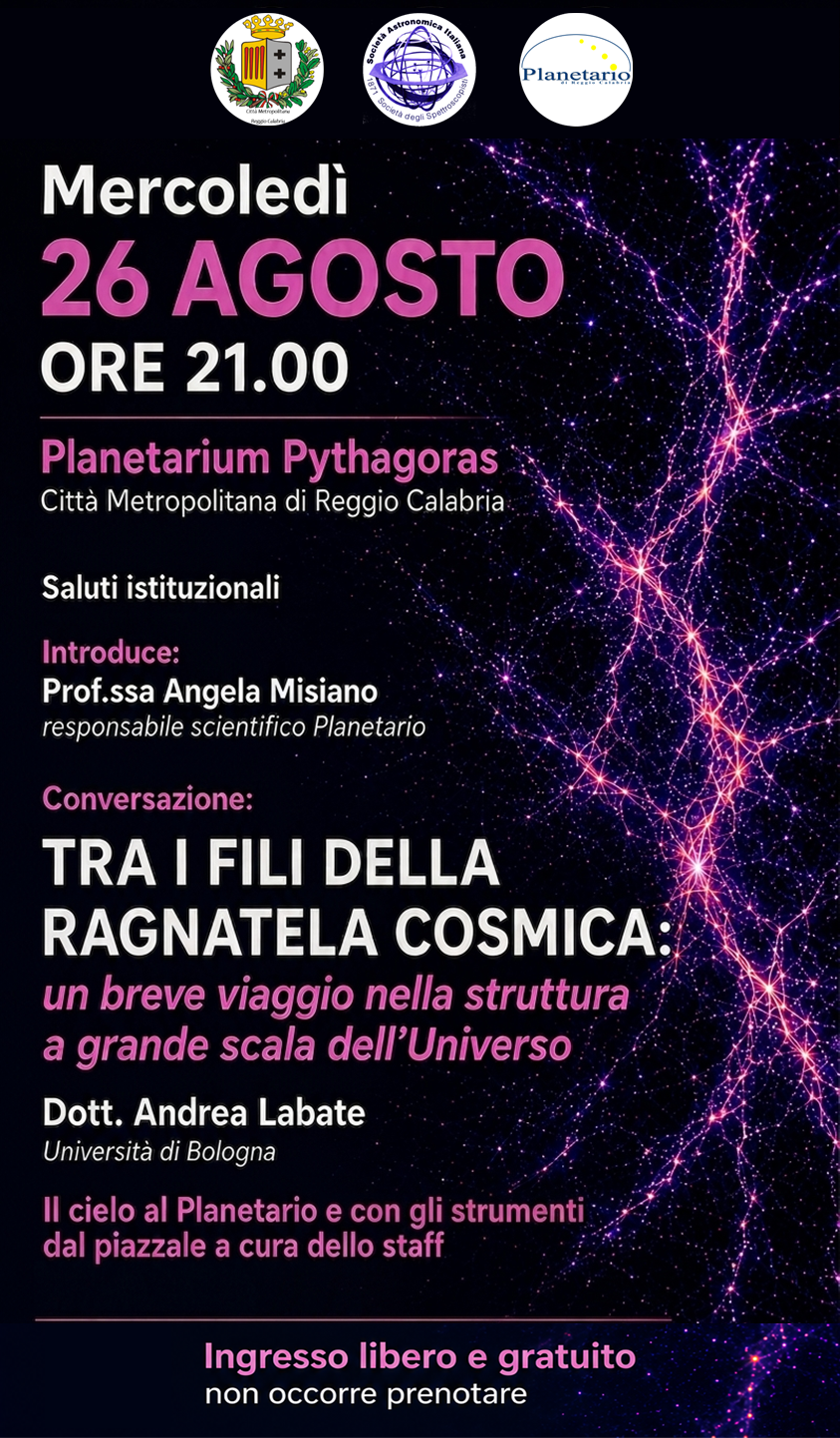 Immagine di copertina per Tra i fili della ragnatela cosmica: un viaggio nella struttura a grande scala dell�Universo