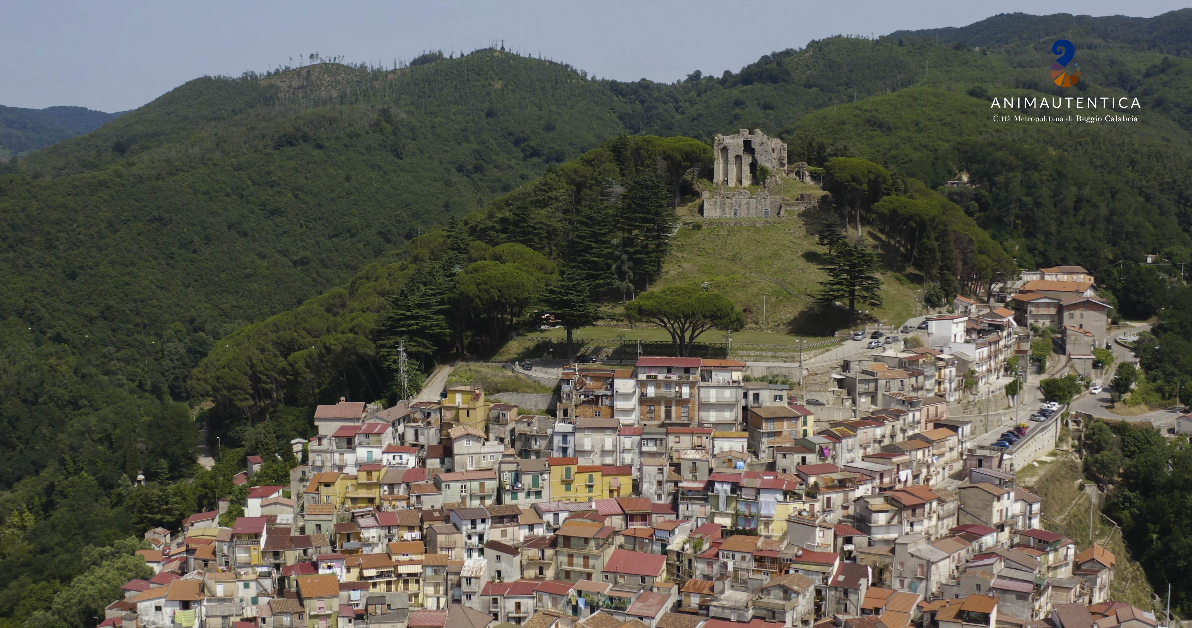�La Citt� Metropolitana lancia il progetto �BiodiverCity� per il monitoraggio del verde urbano. Il 15 ottobre a Palazzo Alvaro la giornata di formazione per tutti i Comuni metropolitani